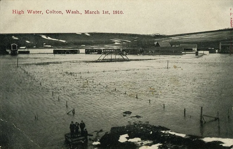 Waterlogged and Worried: How to Rescue Your Vintage RC Cars After a Flood or Moisture Disaster